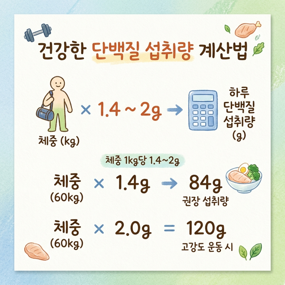 단백질 섭취량 기본 공식