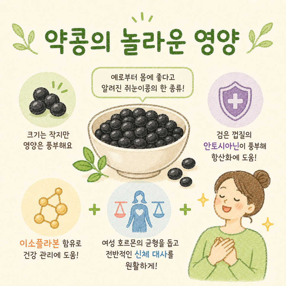 약콩 탈모 예방 관련 이미지 8