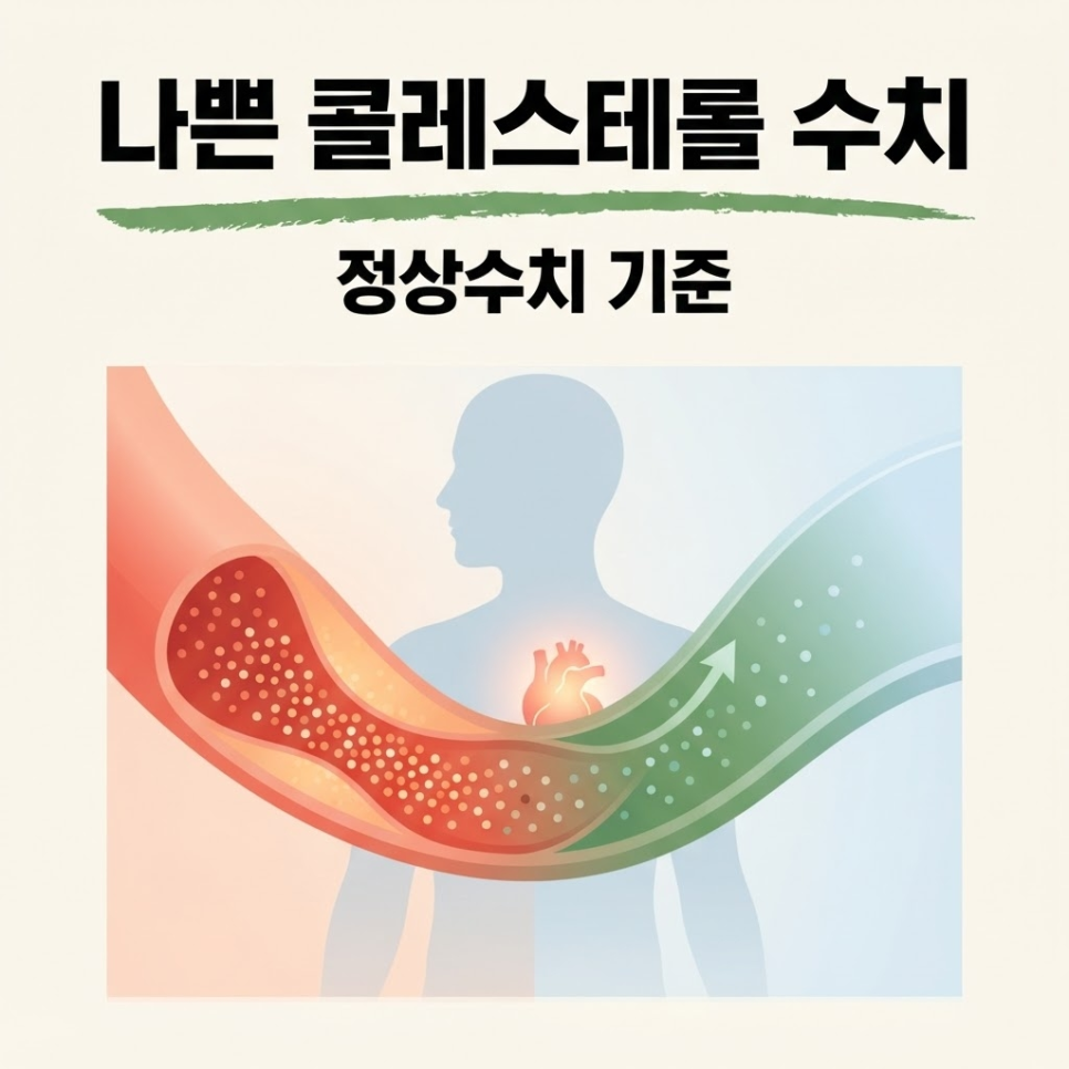 나쁜 콜레스테롤 수치