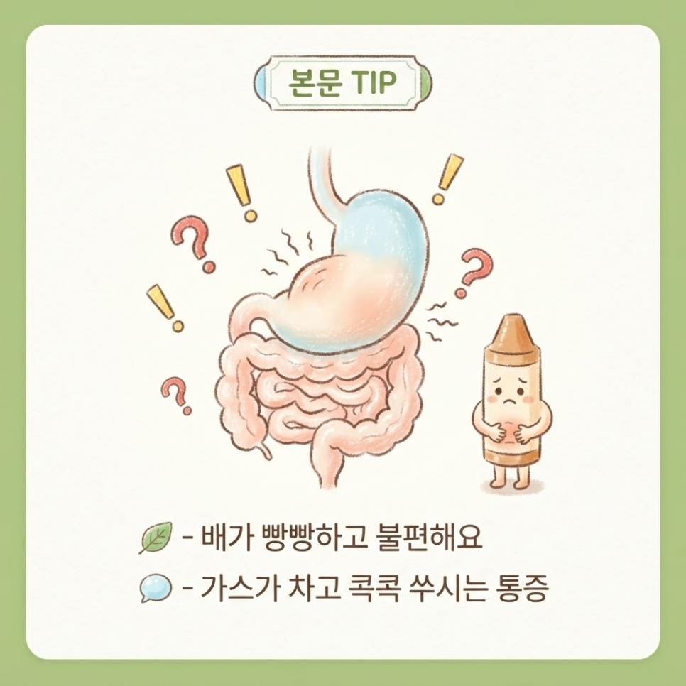 과민성대장증후군 유산균 관련 이미지 2