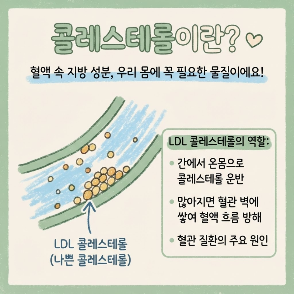 나쁜 콜레스테롤 수치 관련 이미지 2