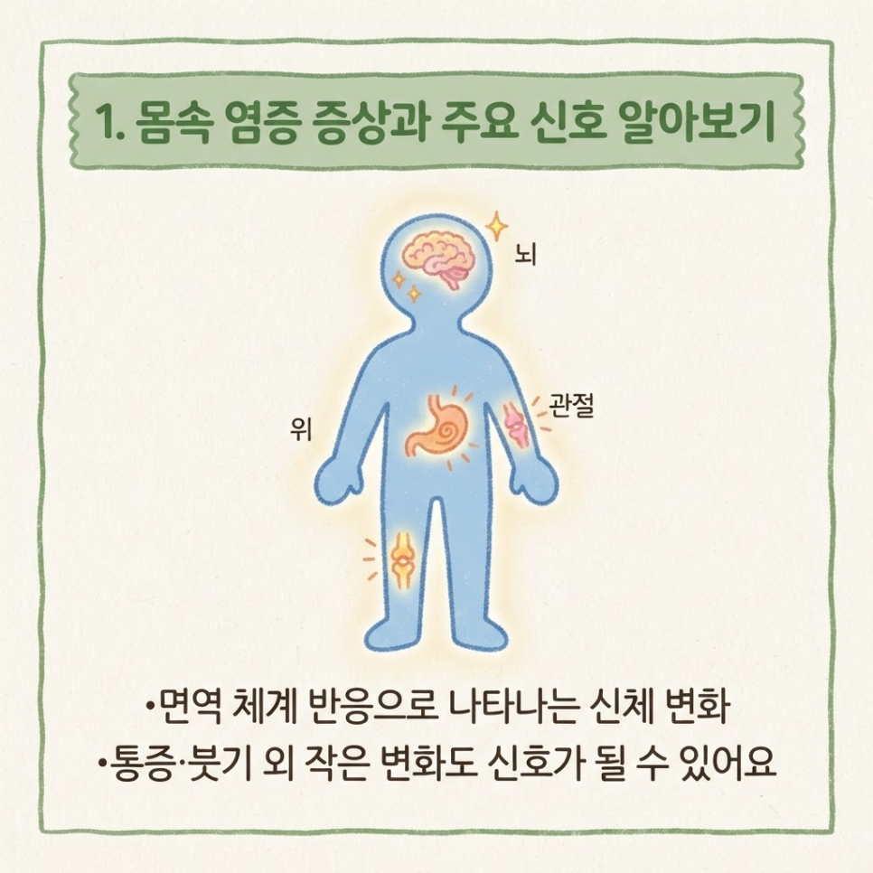 몸속 염증 증상 관련 이미지 4