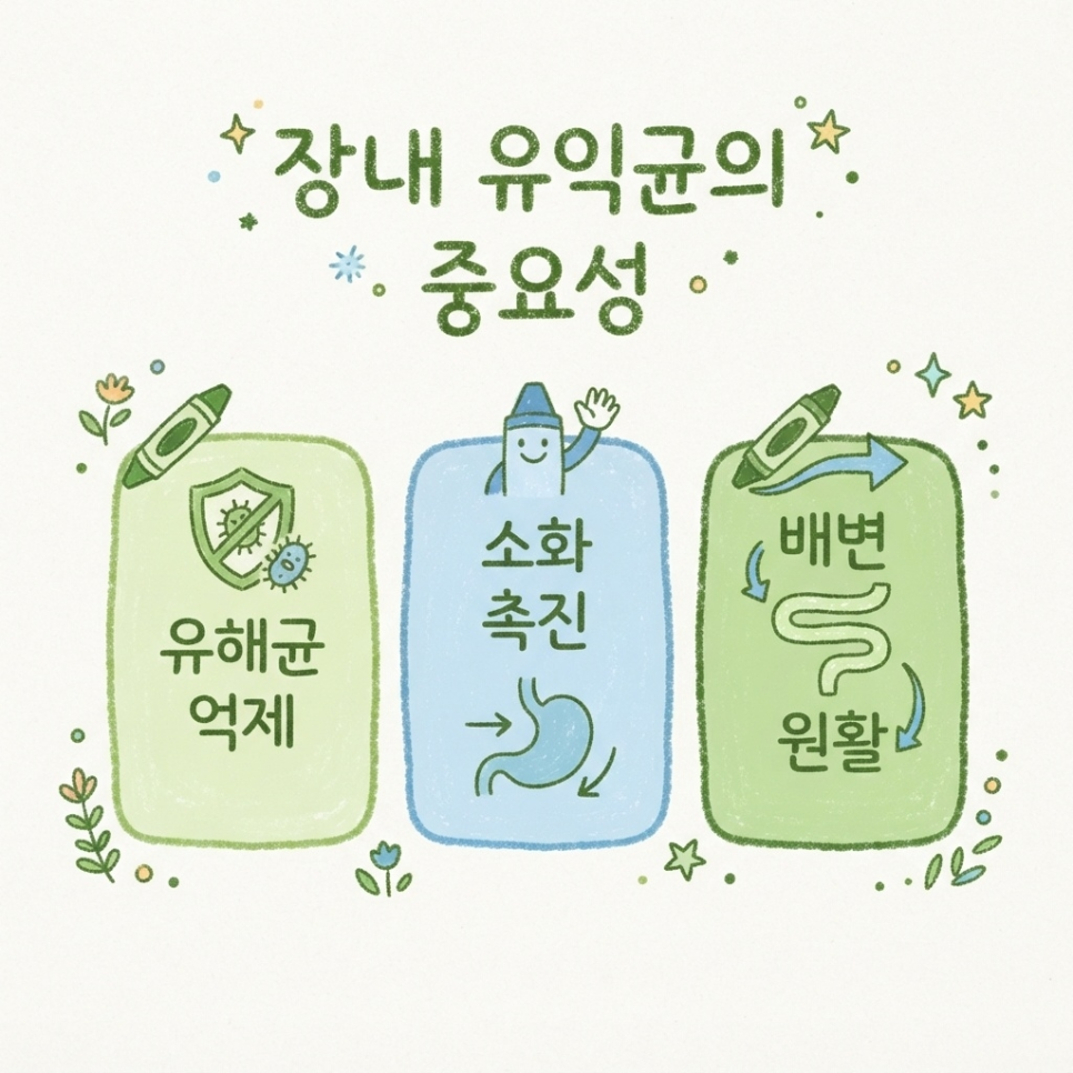 과민성대장증후군 유산균 관련 이미지 7
