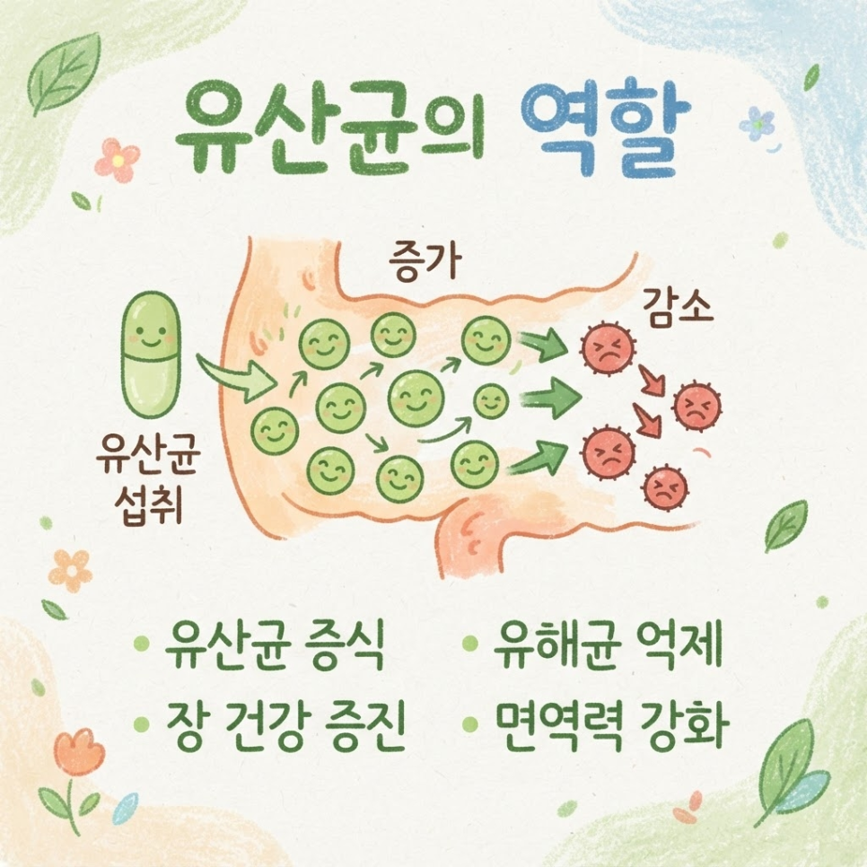 과민성대장증후군 유산균 관련 이미지 8
