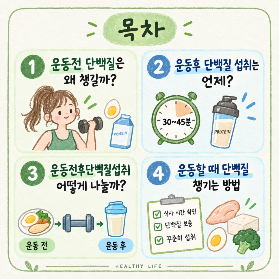 단백질 섭취 타이밍 관련 이미지 2