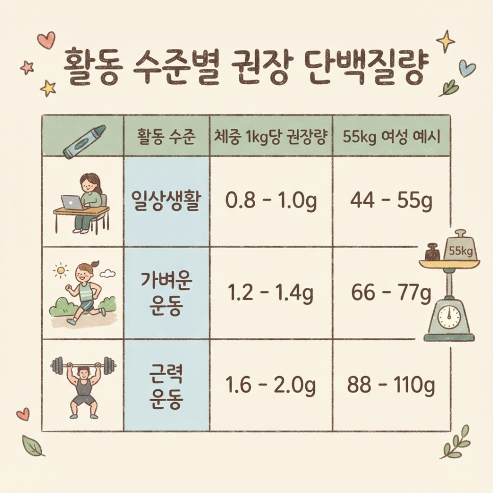 하루 단백질 섭취량 계산 여자 관련 이미지 4
