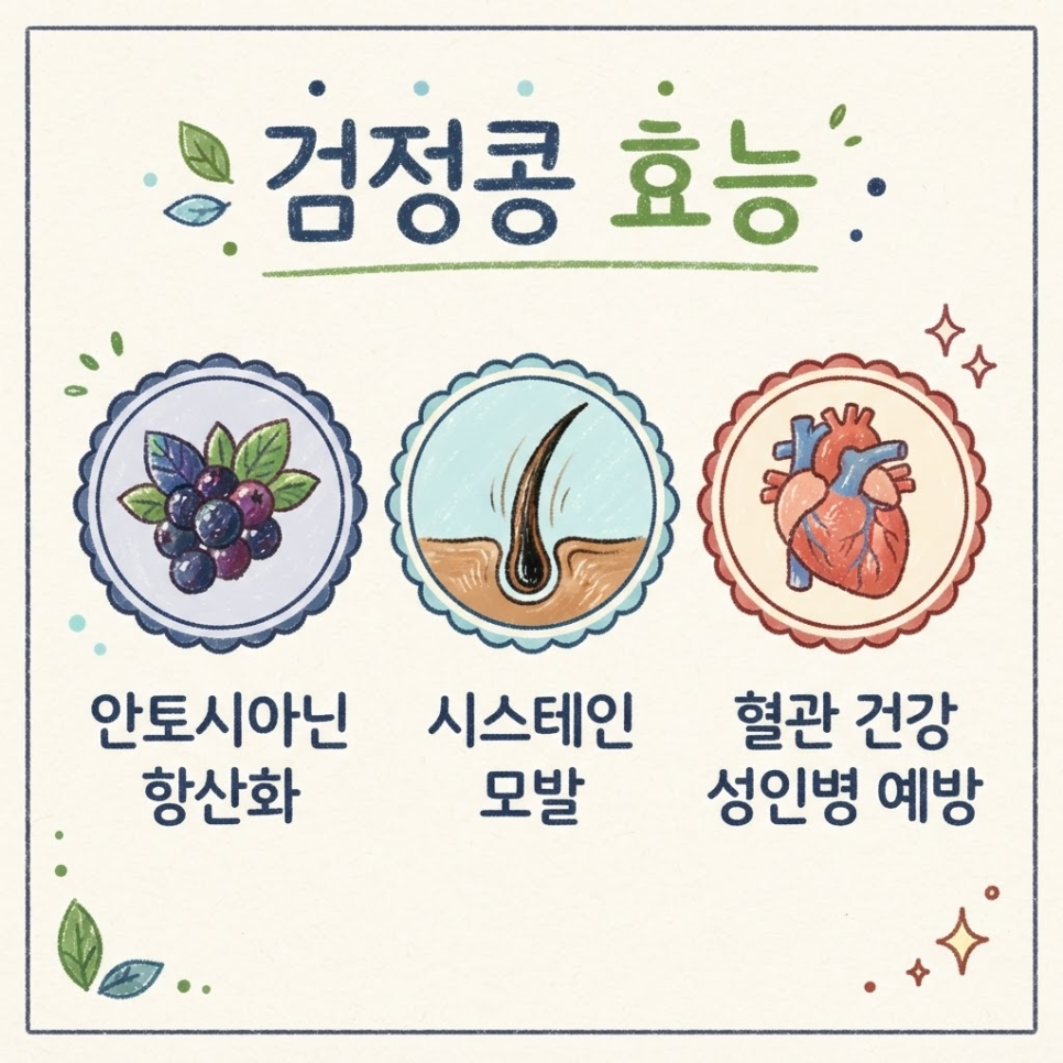 검정콩 효능 관련 이미지 5