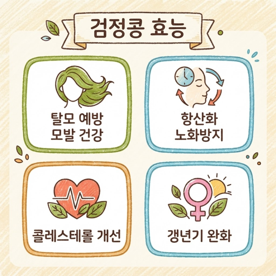 검정콩 효능 관련 이미지 6