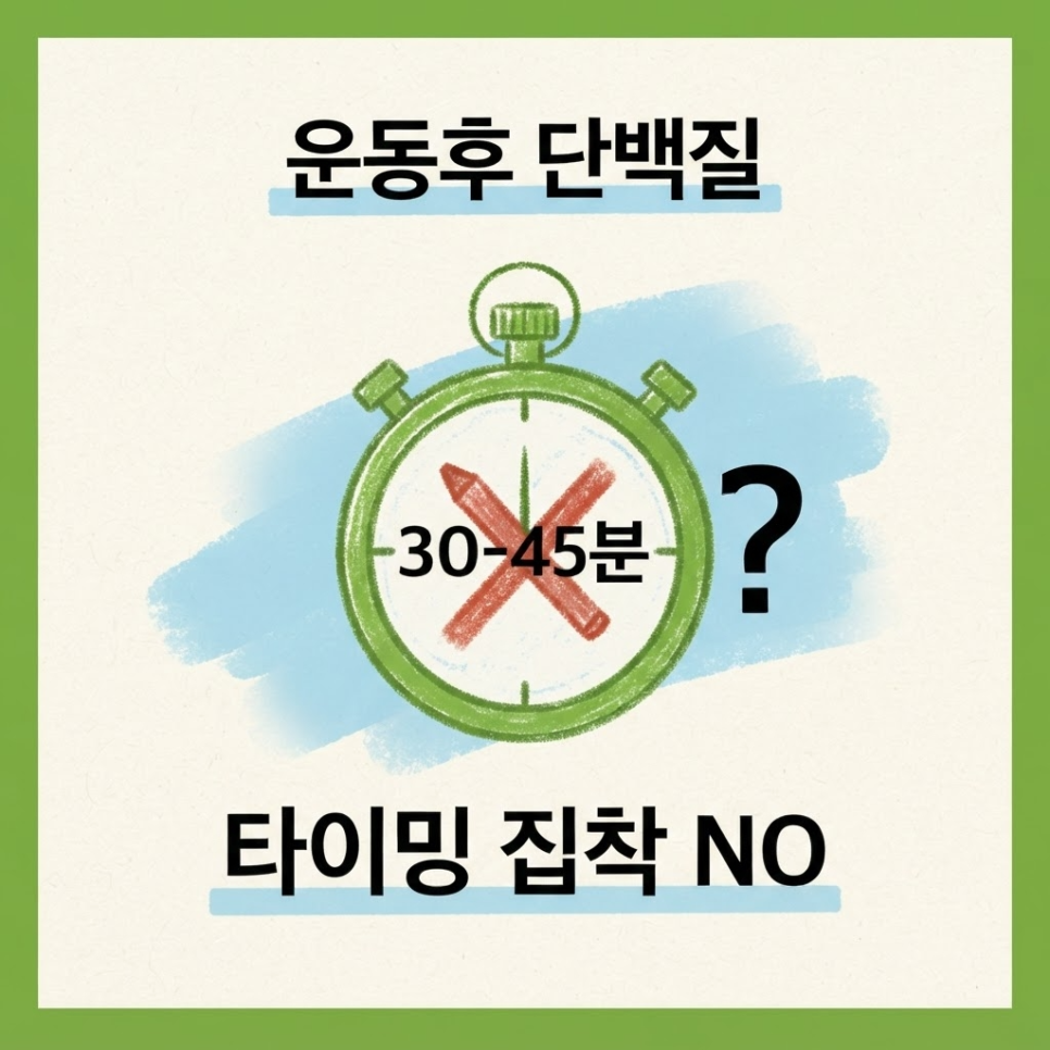 단백질 섭취 타이밍 관련 이미지 6