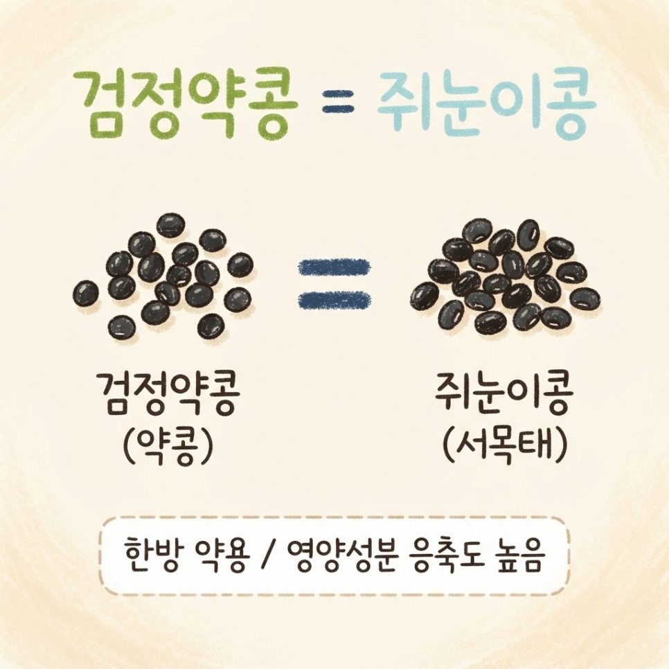 검정콩 효능 관련 이미지 7