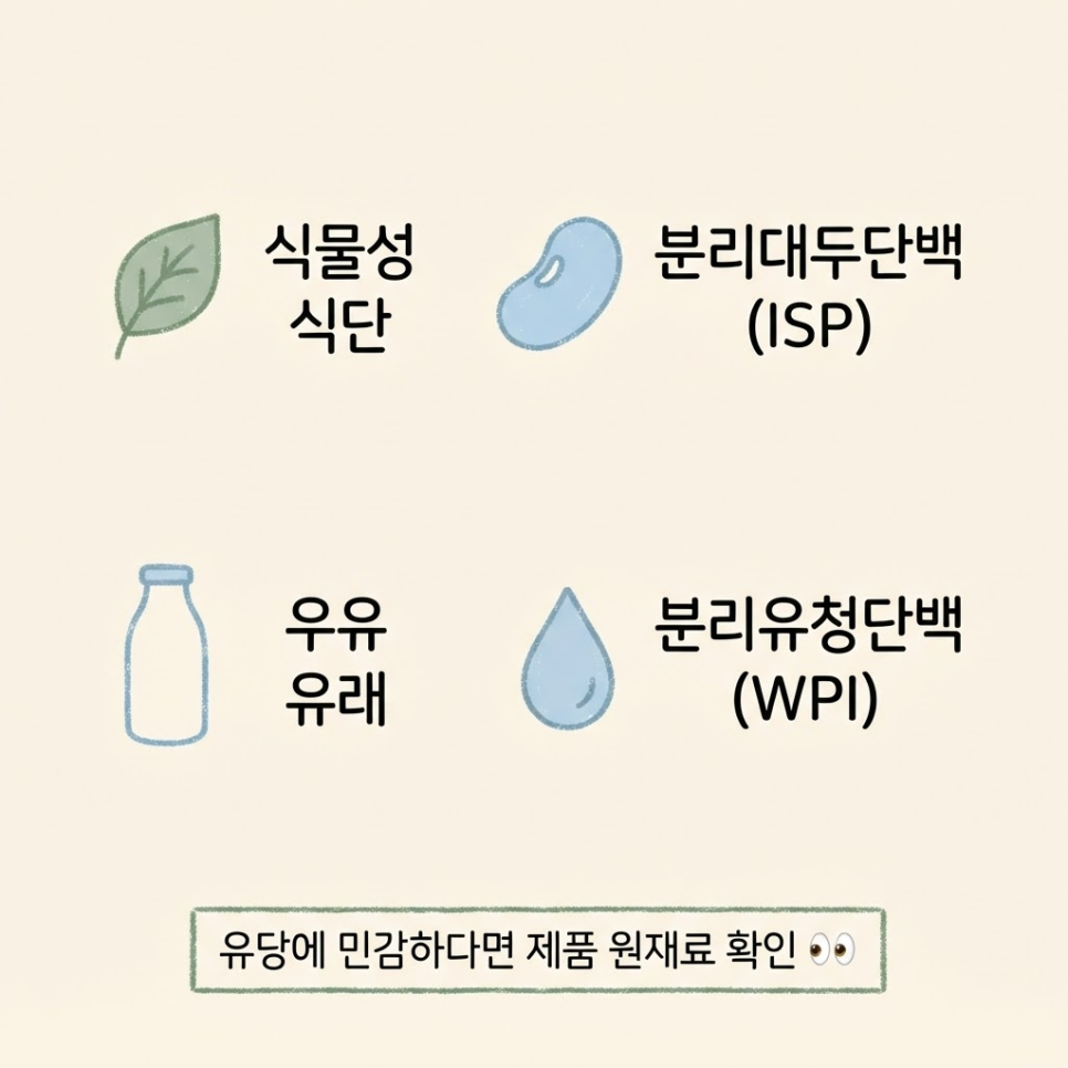 분리대두단백 뜻 관련 이미지 9