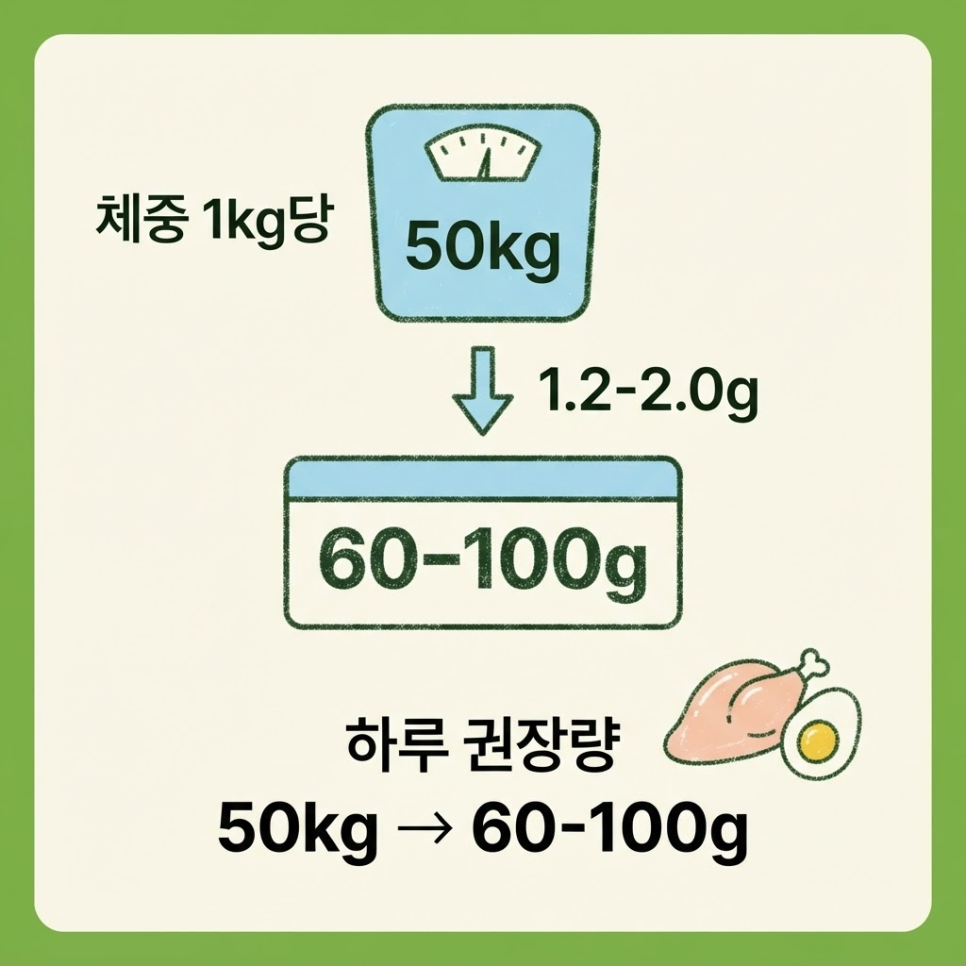 단백질 섭취 타이밍 관련 이미지 10