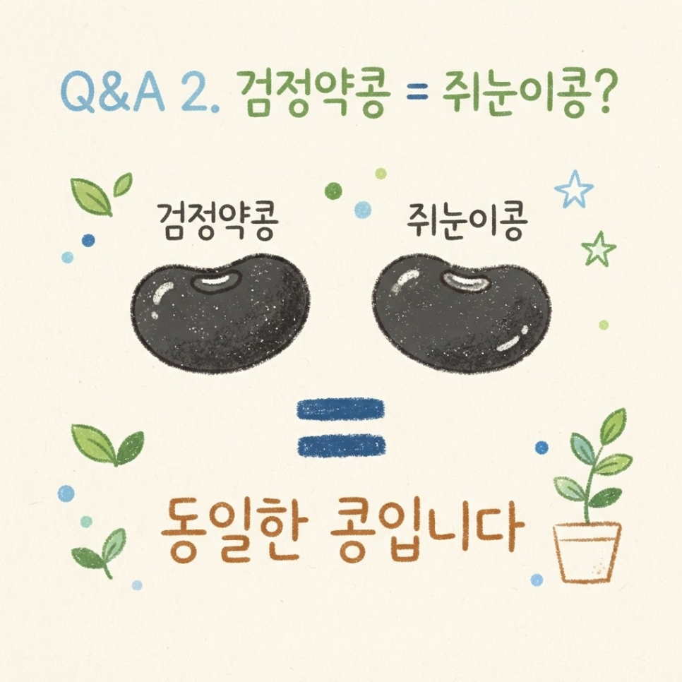 검정콩 효능 관련 이미지 13