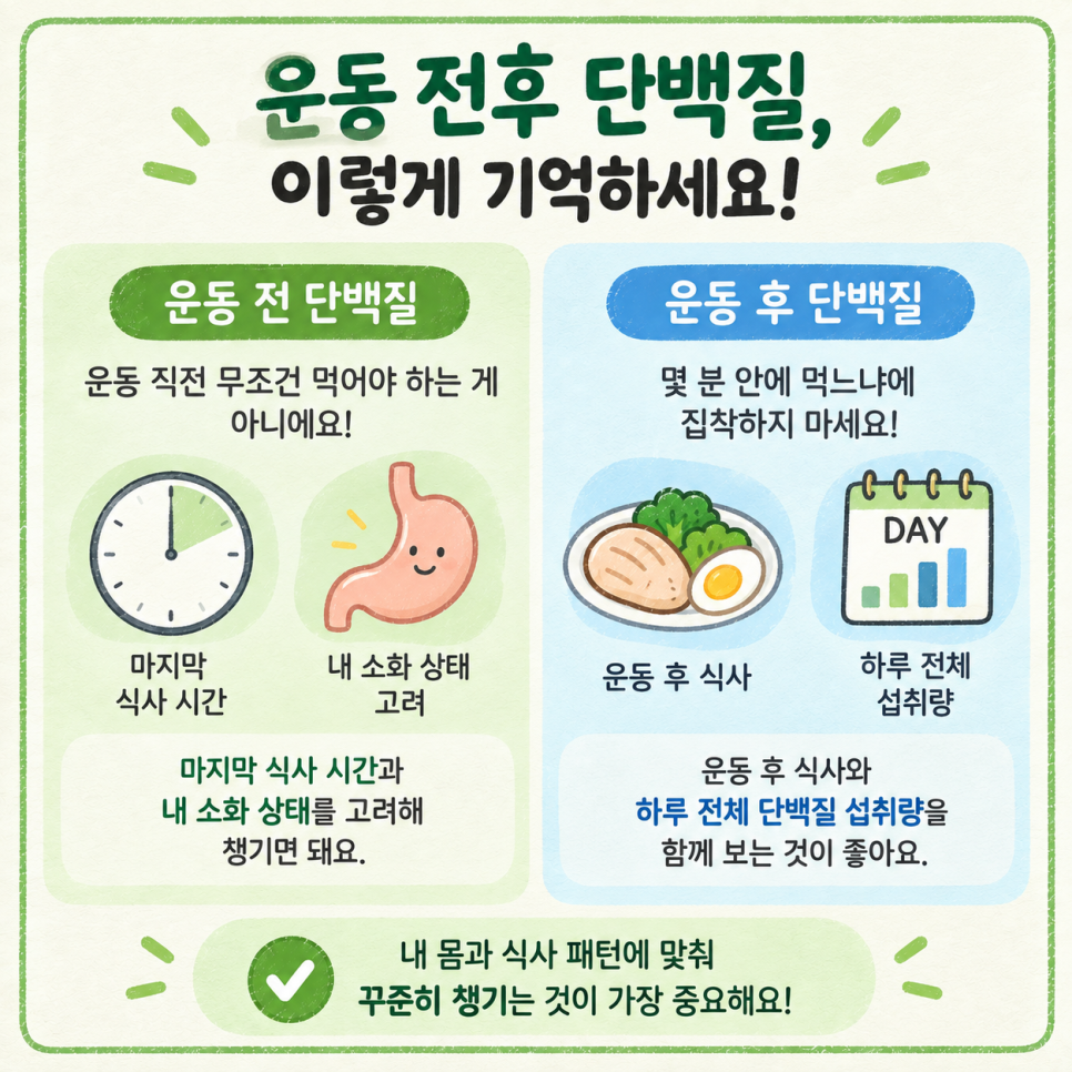 단백질 섭취 타이밍 관련 이미지 13