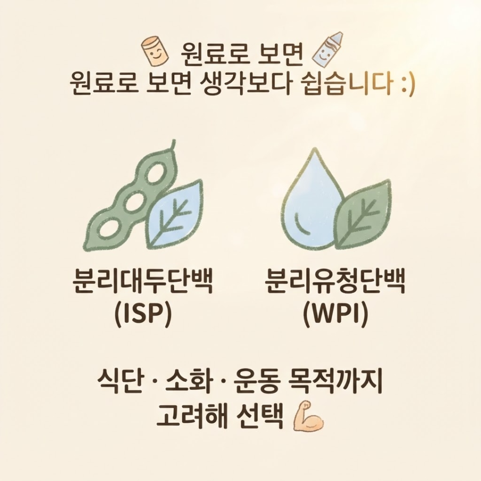 분리대두단백 뜻 관련 이미지 13