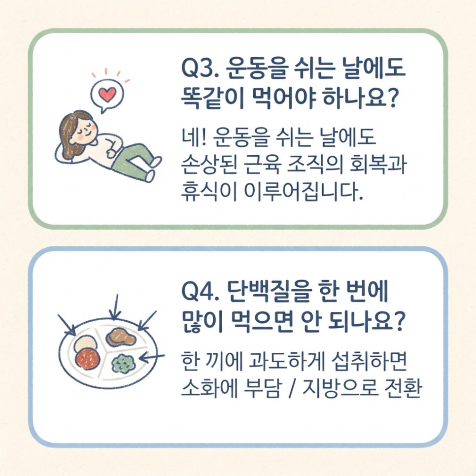 하루 단백질 섭취량 계산 여자 관련 이미지 13
